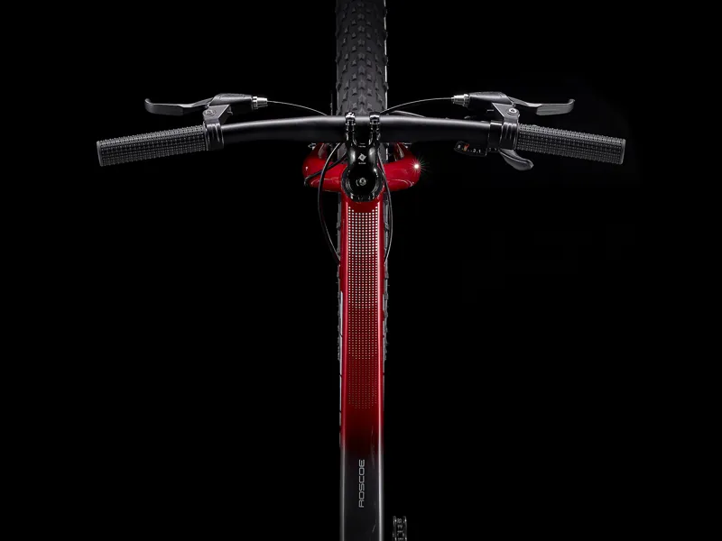 TREK Roscoe 24 Kids Mountain Bike in Red-4